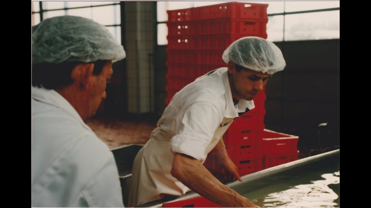 Geschichte der Züger Frischkäse AG