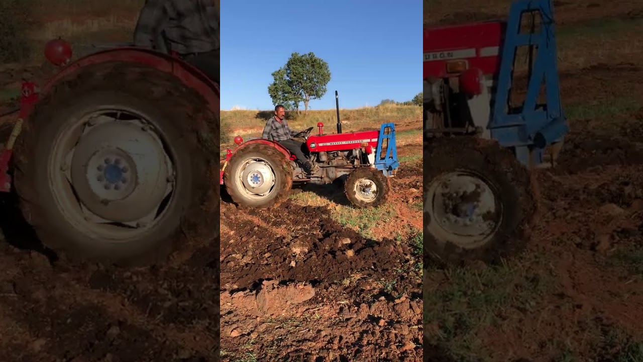 135 Massey ferguson