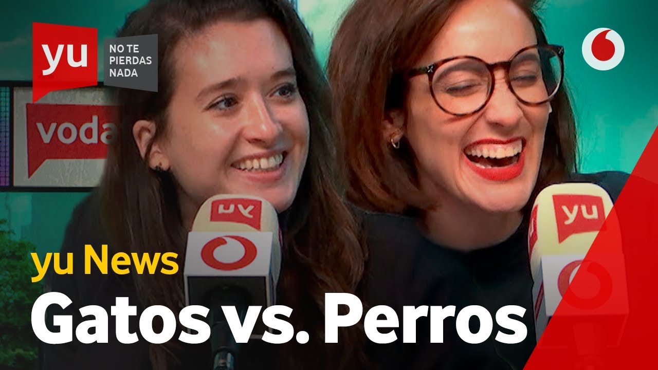 😼 VICTORIA MARTÍN 🆚 ANA MORGADE 🐶 | yuNews