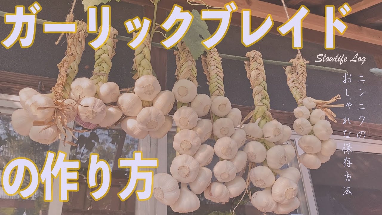 ニンニクのリースの編み方　２種類のガーリックブレイド #ガーリックブレイド  #ニンニク 保存 #家庭菜園　[How to braid a garlic wreath: 2 types ]