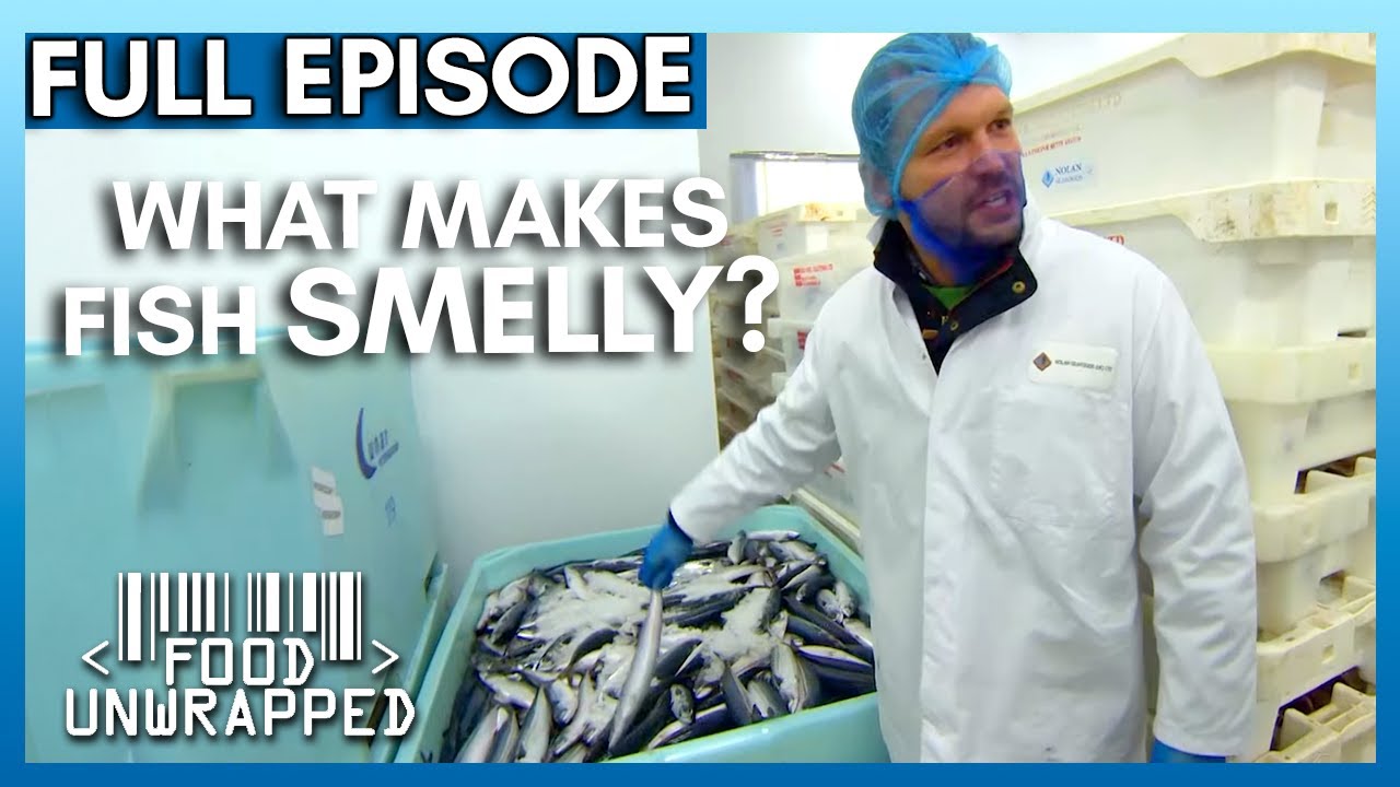 How Fresh is Your Fish? | Food Unwrapped Season 4 Episode 15 | Full Episode