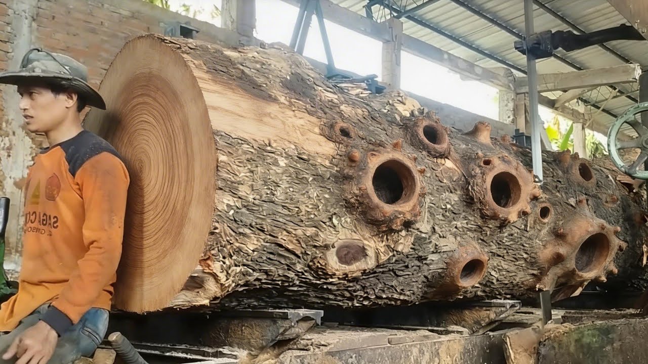 Testing the sharpness of a new saw blade cuts the hardest wood on earth