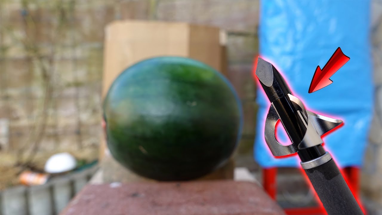 Experiment - Welchen SCHADEN richten JAGDSPITZEN an?
