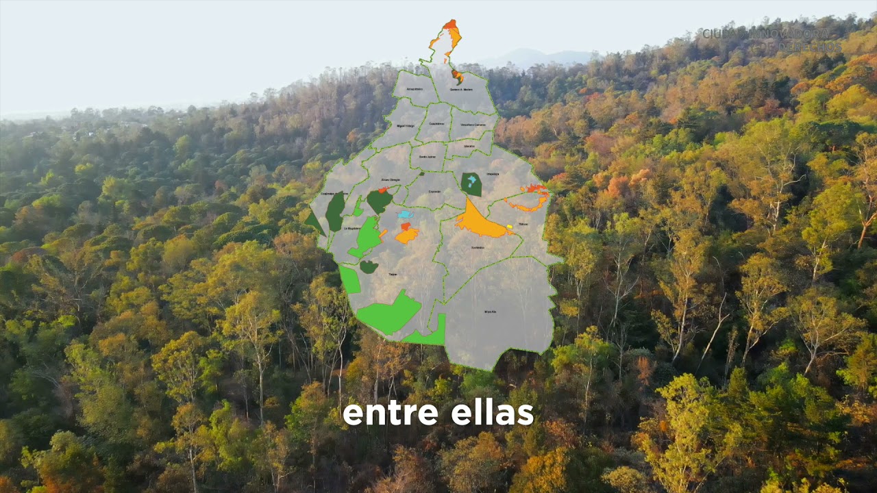 Turismo Responsable