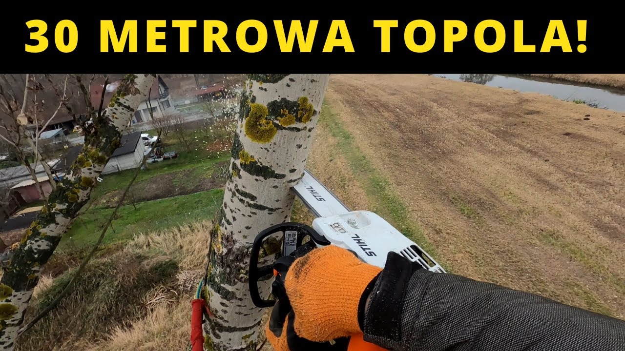 Alpinistyczna wycinka wysokiej topoli! Metalowe znalezisko w koronie + celowanie w puszkę!