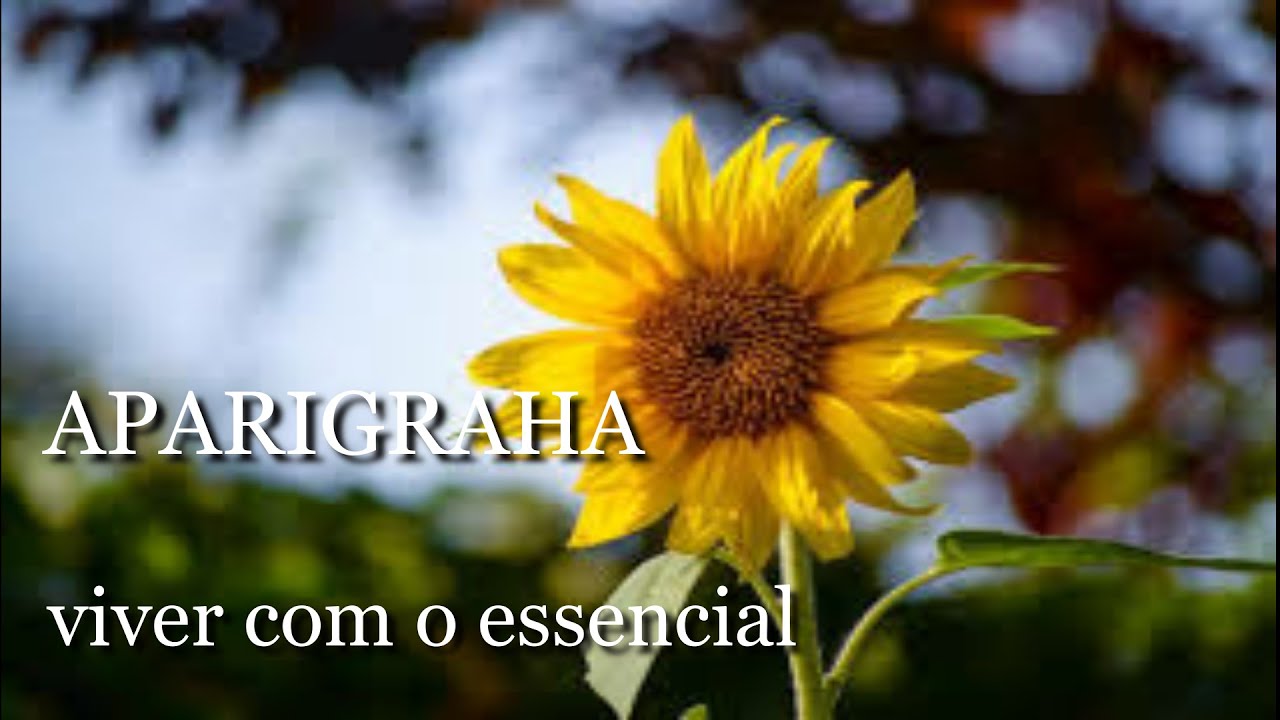 O que é aparigraha?  Viver com o que é essencial e descartar o excesso. Yama 5. Yoga integral.