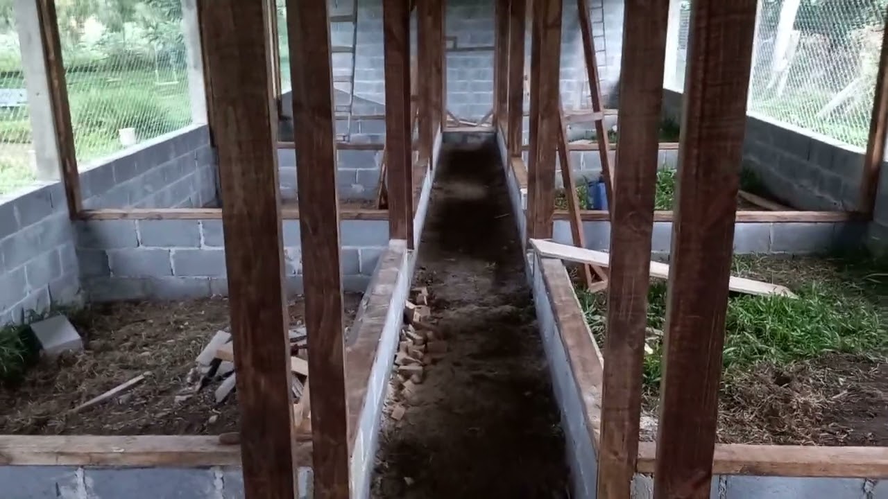 O viveiro dos pavões está pronto!!