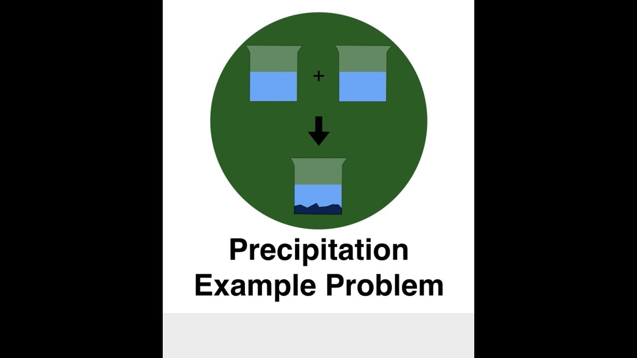Precipitation Example Problem