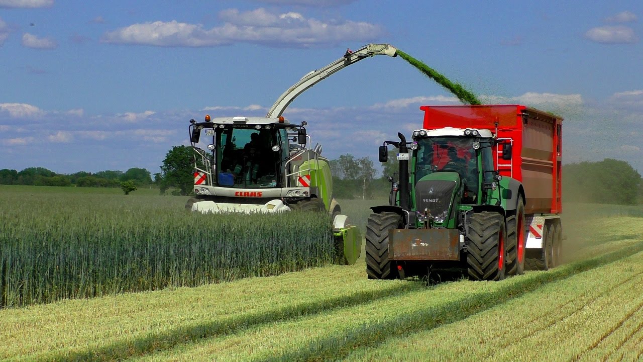 GPS häckseln 2015 mit einem Claas Jaguar 980 von LU Walter Schütt