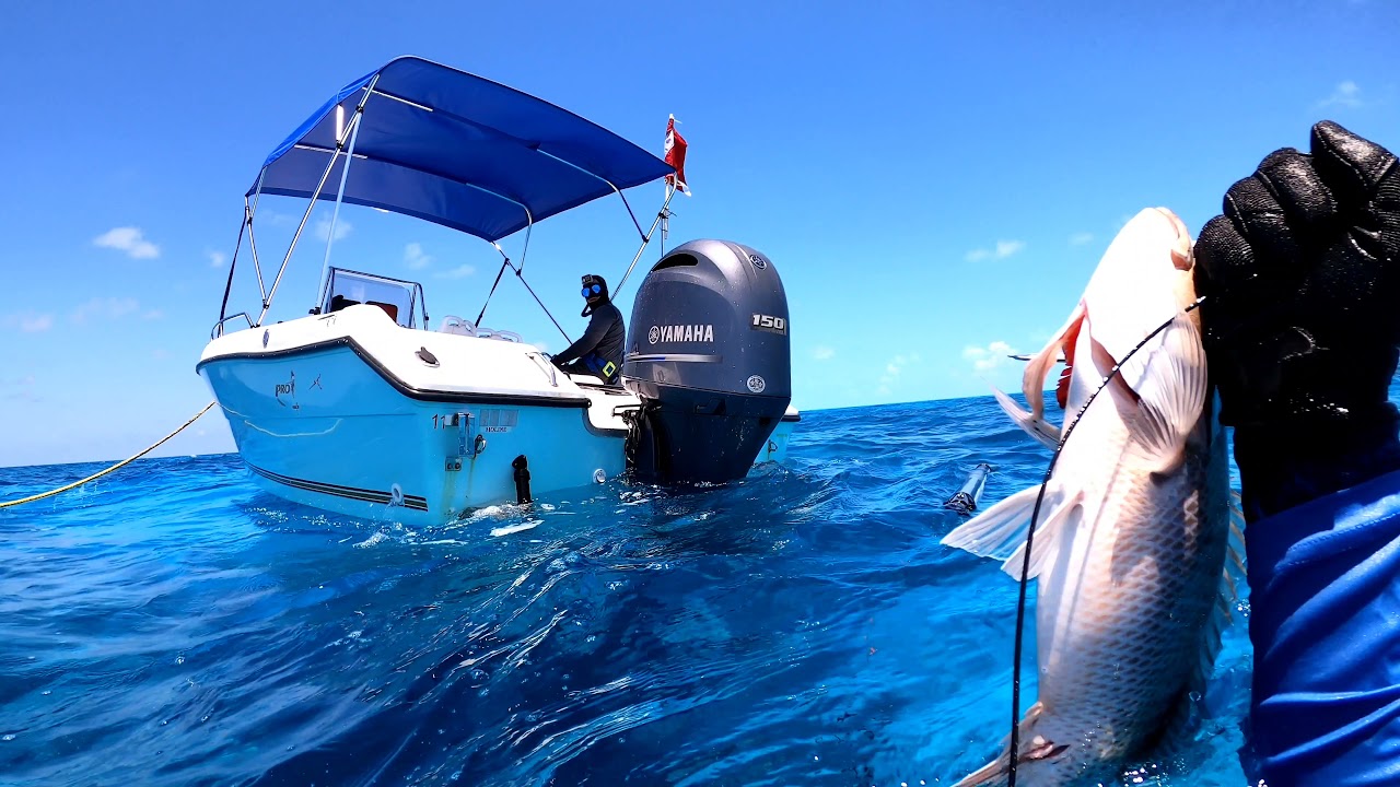 pesca submarina,al fin llegó el agua Clara a key west ,trabajo en equipo