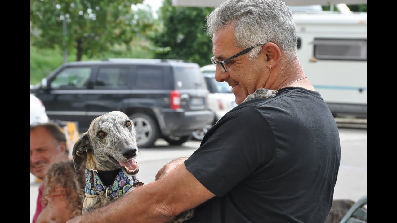 GACI 20 Galgos Rescue adopted May 09 2015