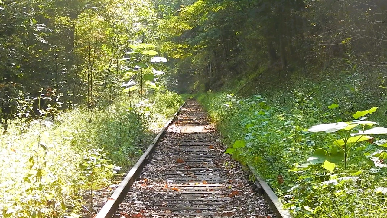 Exploring Rusty Rails in GHOST TOWNS of West Virginia
