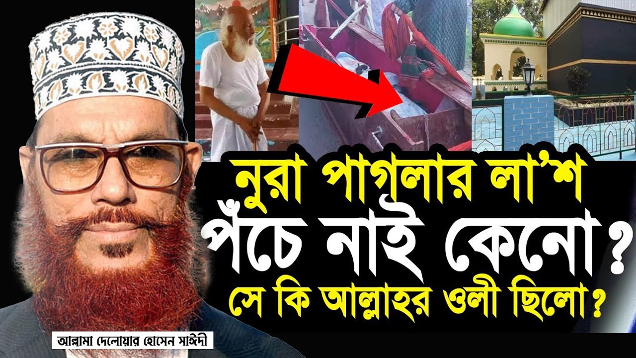 নূরা পাগলা ও ভন্ড পীর নিয়ে ওয়াজ। আল্লামা দেলোয়ার হোসেন সাঈদী allama saidi waz