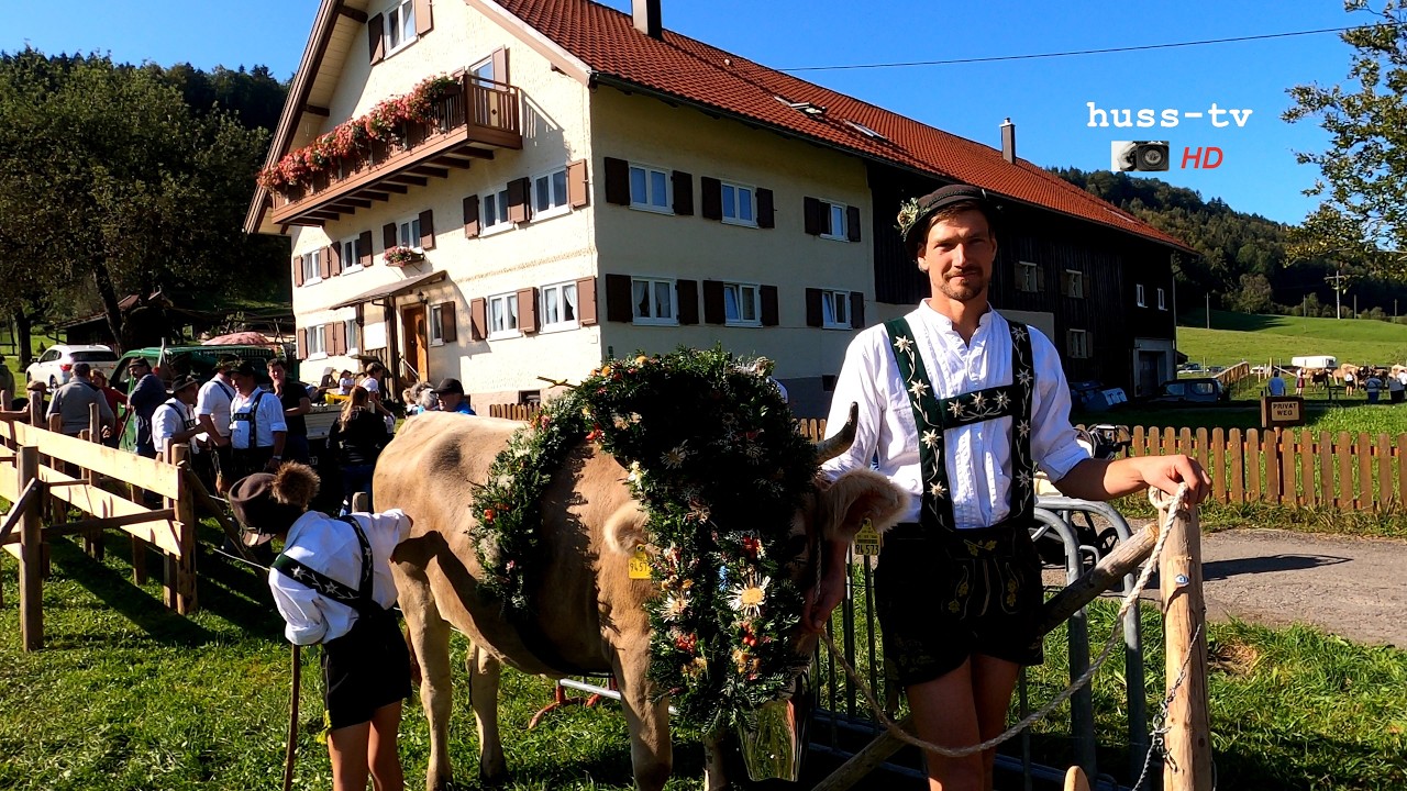 Viehscheid Thalkirchdorf am 20. 9. 2024