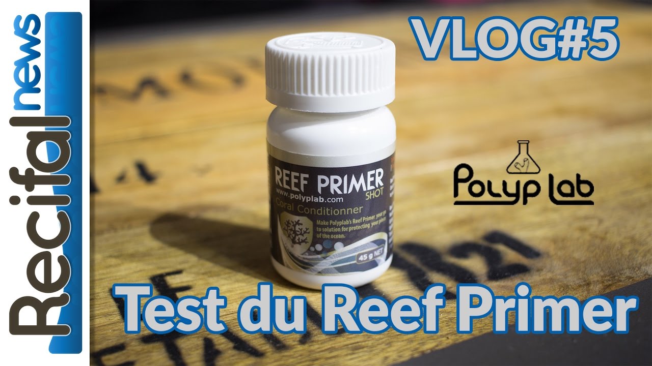 [VLOG#5] Vince Z : Polyplab Reef Primer Test
