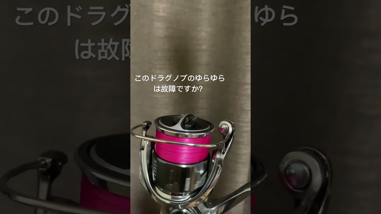 22ステラについて