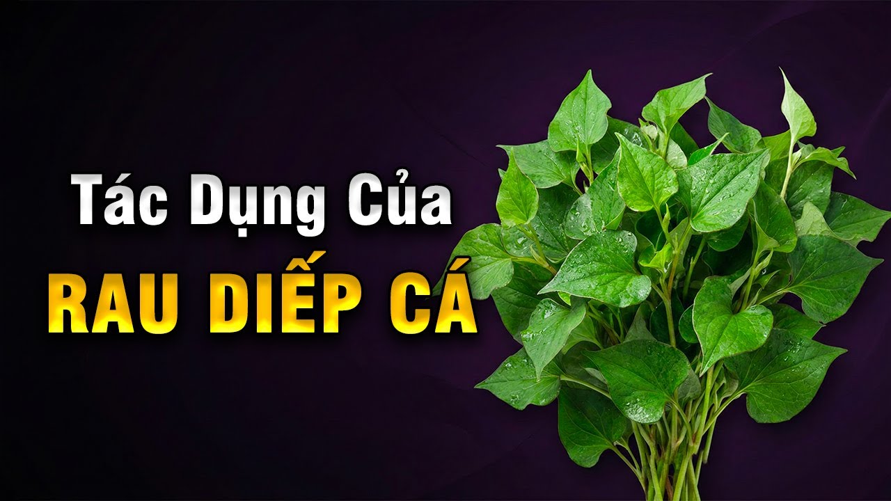 Bất Ngờ Với TÁC DỤNG Của RAU DIẾP CÁ: THẦN DƯỢC Tại Nhà Mà Ít Ai Biết | Trạm Sức Khoẻ