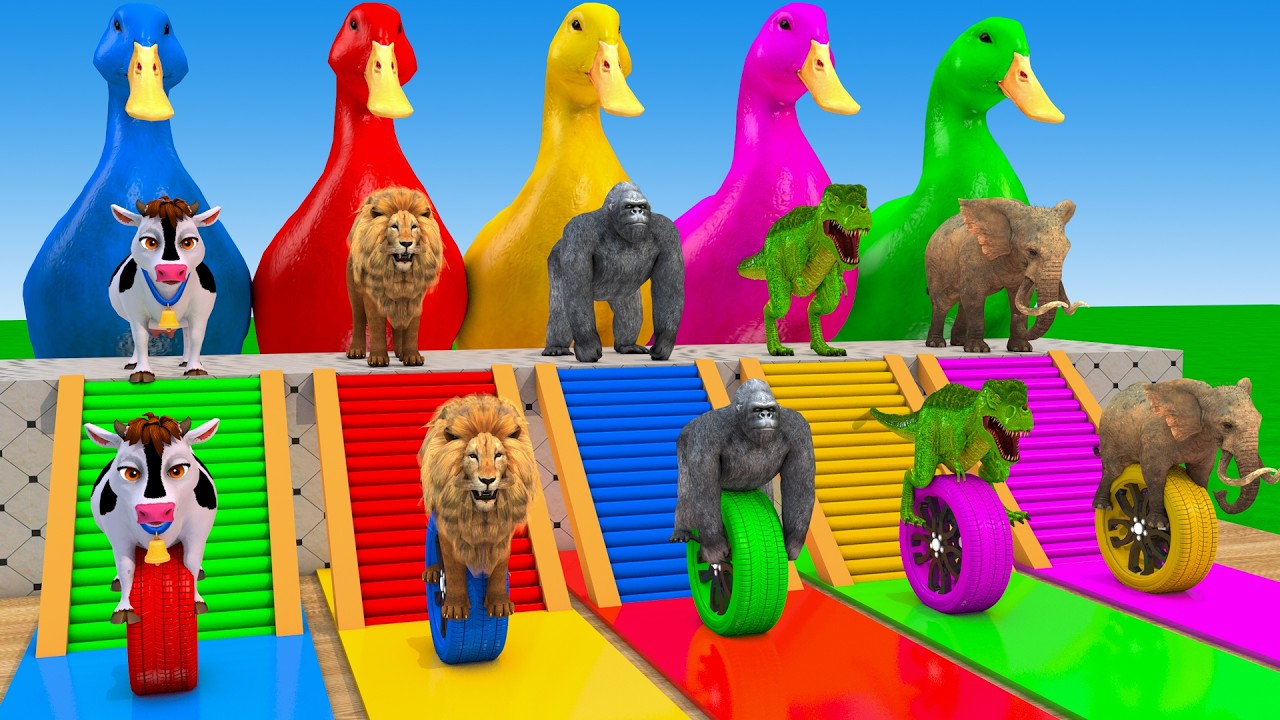 Long Slide Game With Cow Elephant Gorilla Hippopotamus Tiger - 3d Animal Game - Funny 3d Animals