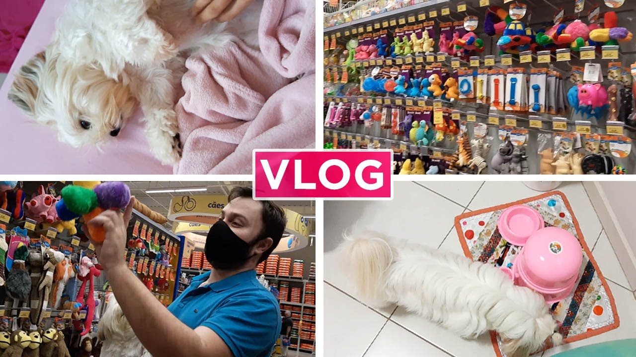 UM DIA COM A COCADA! COMPRAS NO PET SHOP - BRINQUEDOS E PETISCOS!