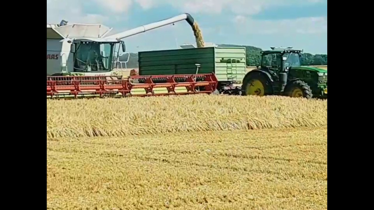 Gerste dreschen 2017 auf R&uuml;gen
