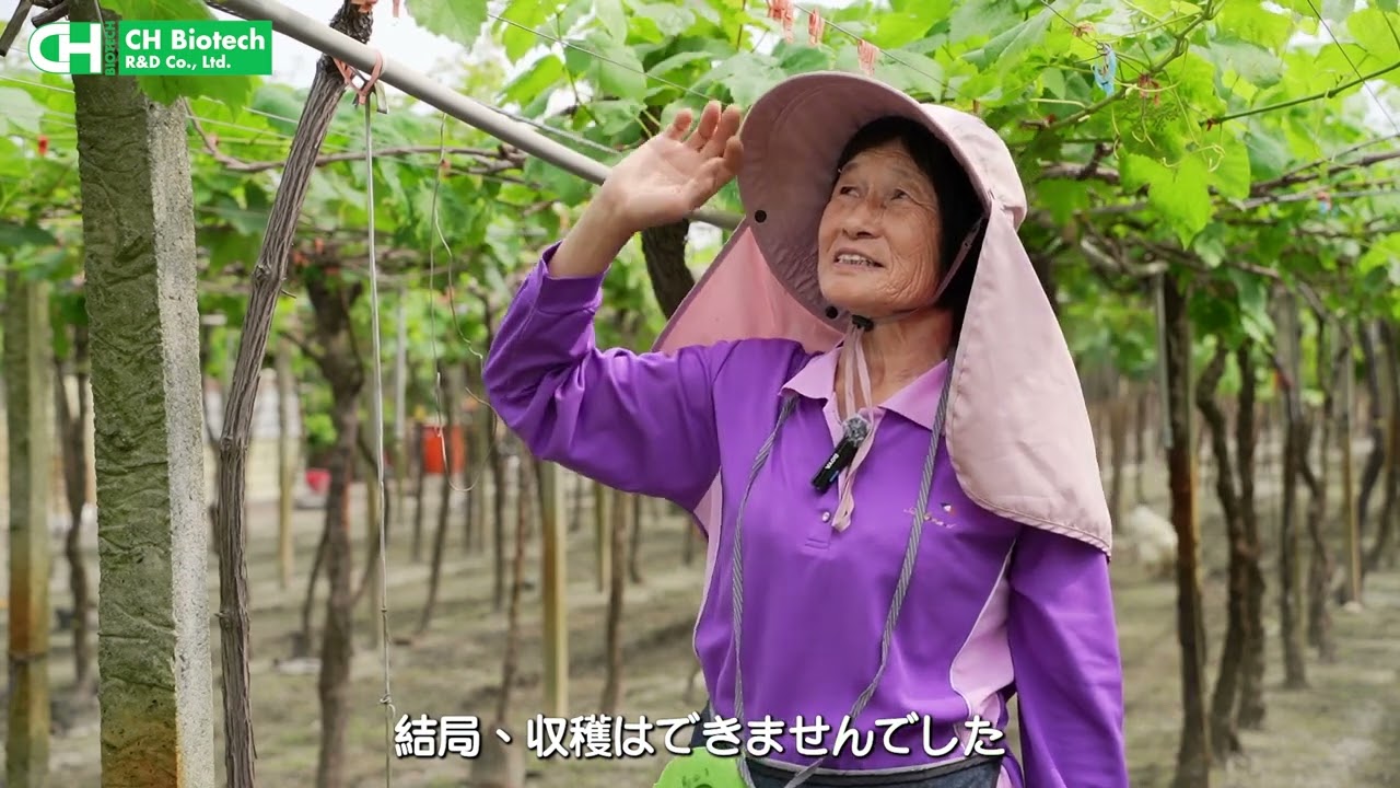果樹応用: ワイン用ブドウ 完全版動画