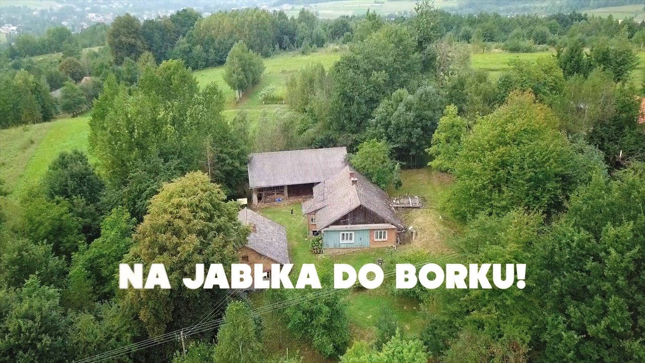 Na jabłka do Borku!