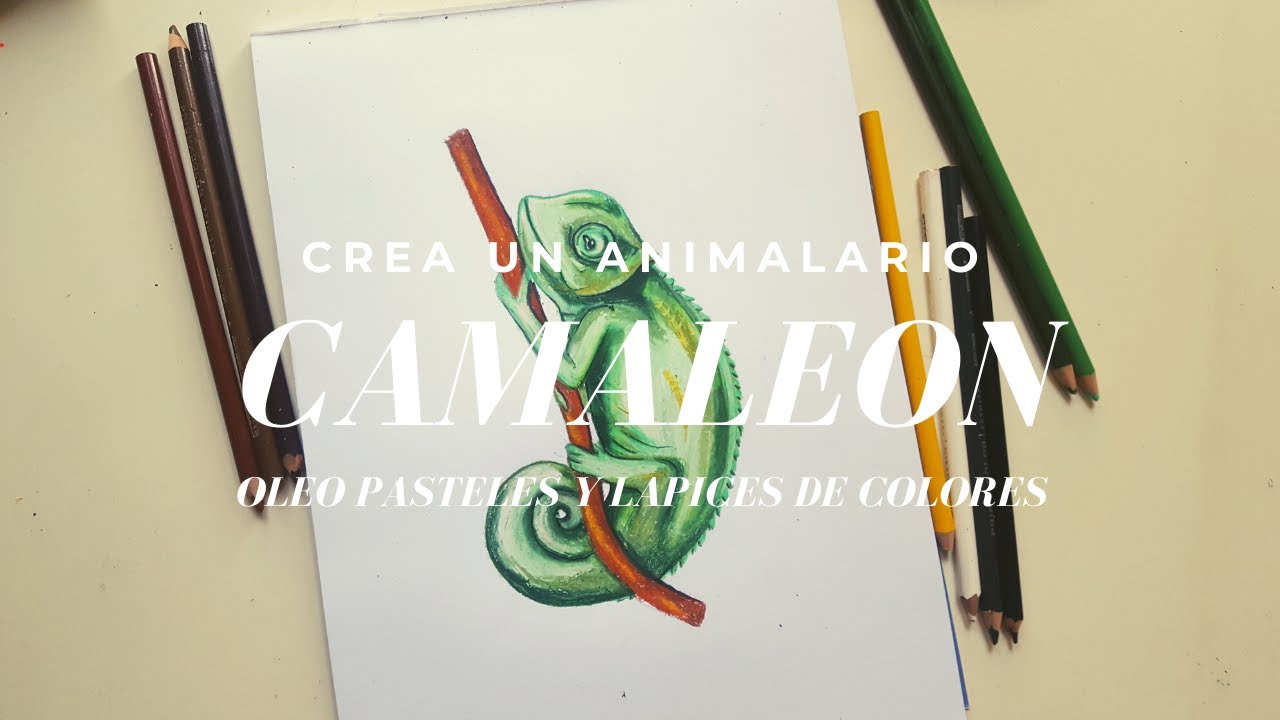 Cómo DIBUJAR un CAMALEON con OLEO PASTELES | Tiempo real| Animalario | Laura Veronica
