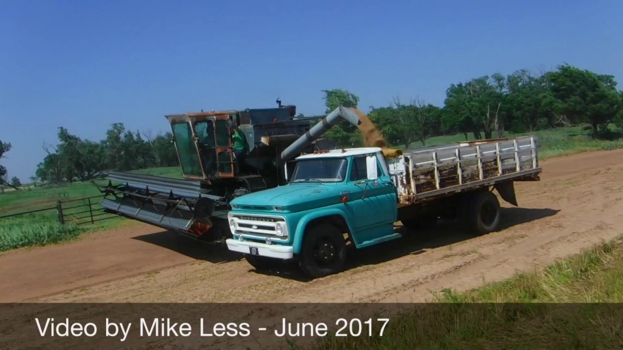 Cutting wheat with a Gleaner G combine in Oklahoma