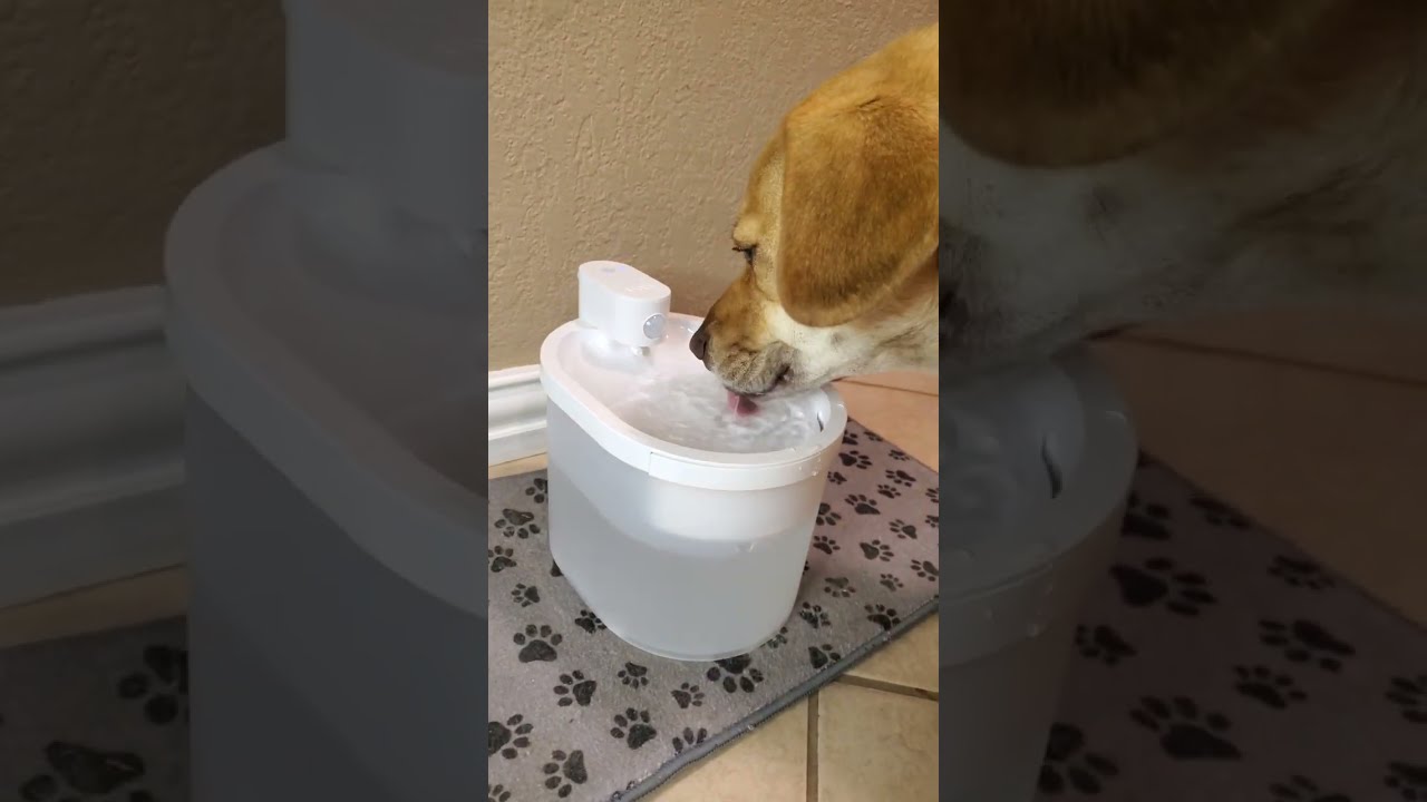 UAHPET ZERO WIRELESS PET FOUNTAIN