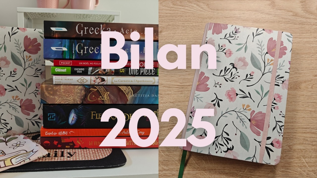 Carnet de lecture - Bilan 2025