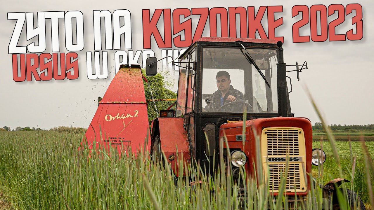 🇵🇱 Żyto na kiszonke 2023 ☆ Orkan 2 ☆ Ursus c360 ✔ Sebix016 ✔ MafiaKazanki ✔  Gr Markowscy!