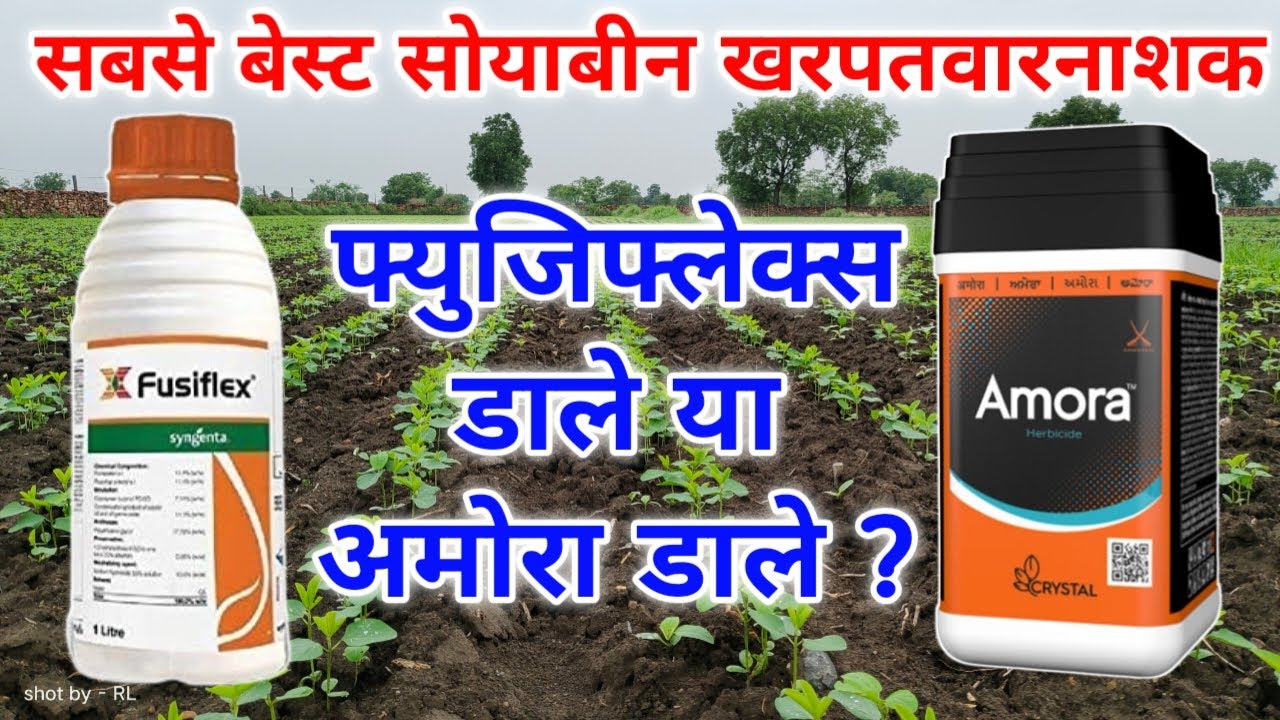 सोयाबीन के लिए सबसे बेस्ट खरपतवारनाशक / सोयाबीन मे Syngenta Fusiflex डाले या Crystal Amora ?