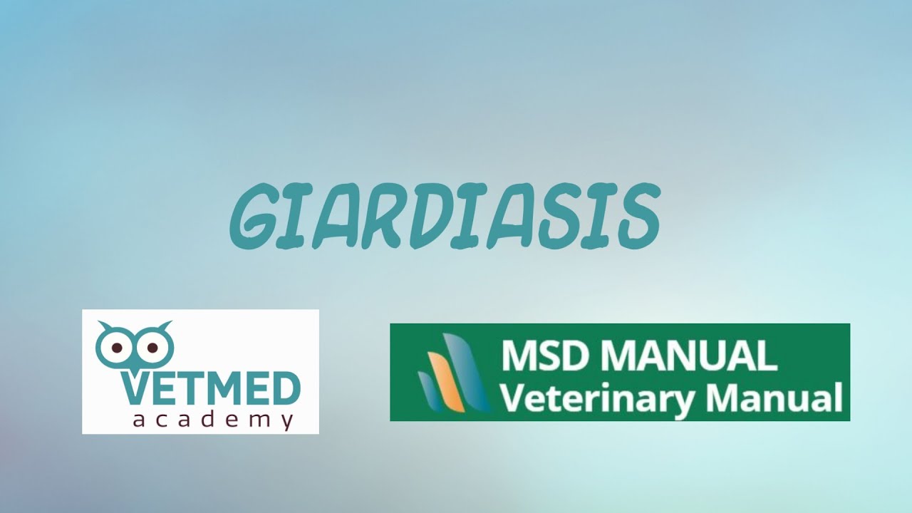Giardiasis