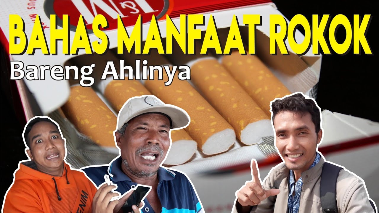 5 MANFAAT ROKOK YANG DIRAHASIAKAN SELAMA INI ✔ | Tempe Channel