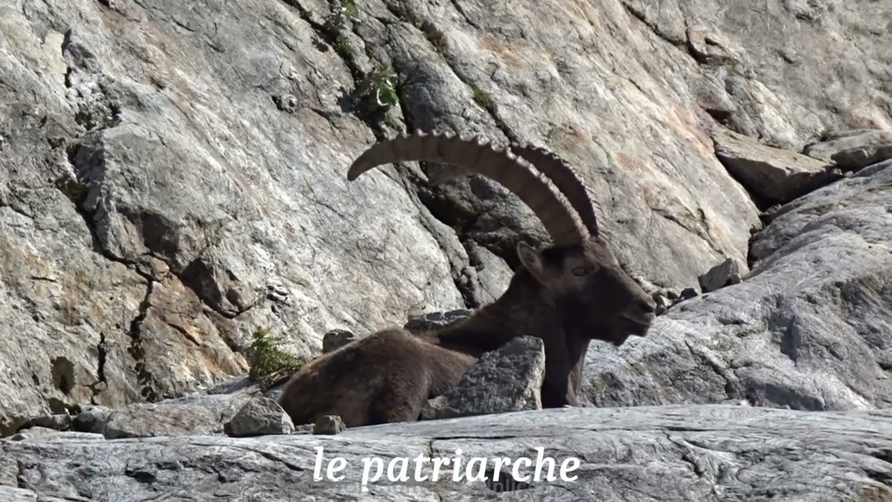 Tour du Mont Clapier