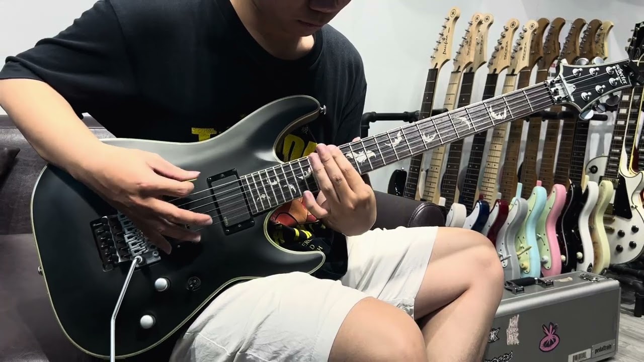 Schecter Damien Platinum 6-FR (demo)