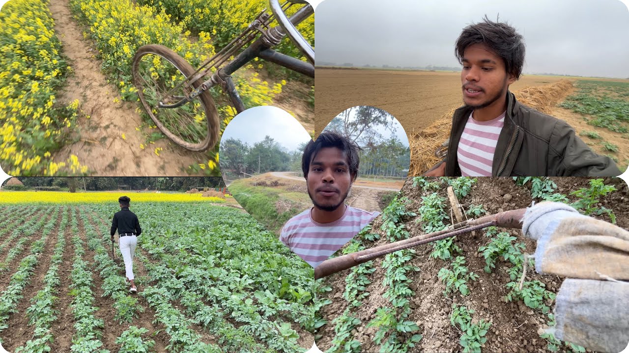 Farming Lifestyle in villager’s 🥹