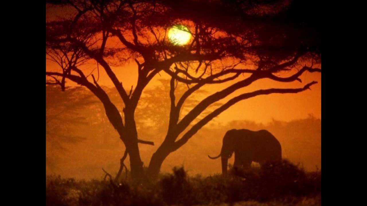Suite From WHISPERS - An Elephant's Tale