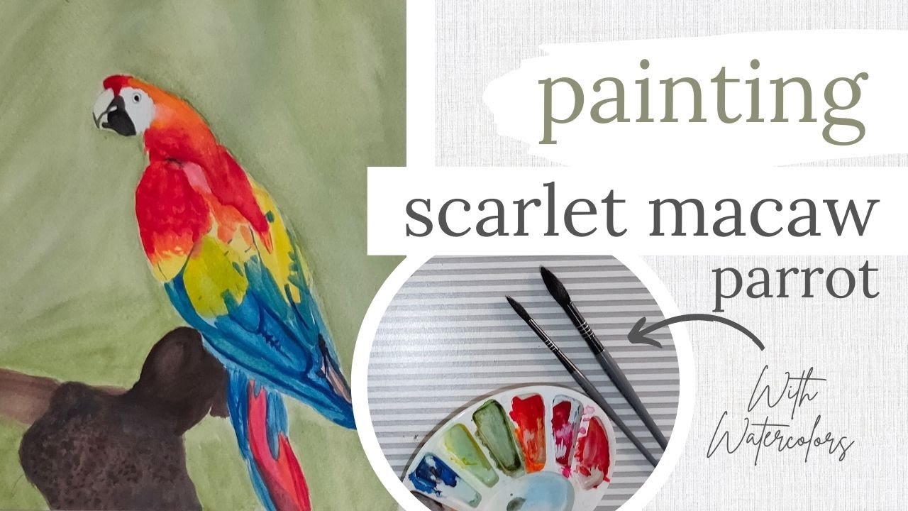 How to paint Scarlet macaw parrot | Simple watercolor parrot painting | Macaw watercolor painting