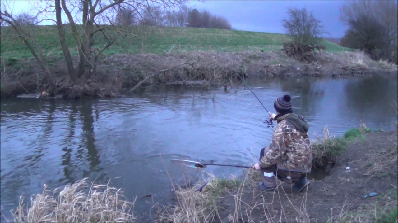 Hardcore Chub fishing on the River Dearne , Feb 2017