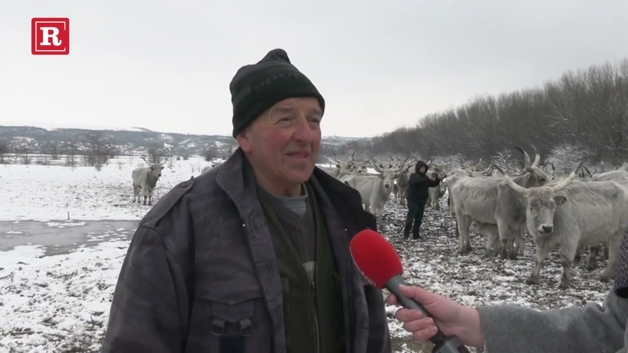 Milenko Plavšić: 