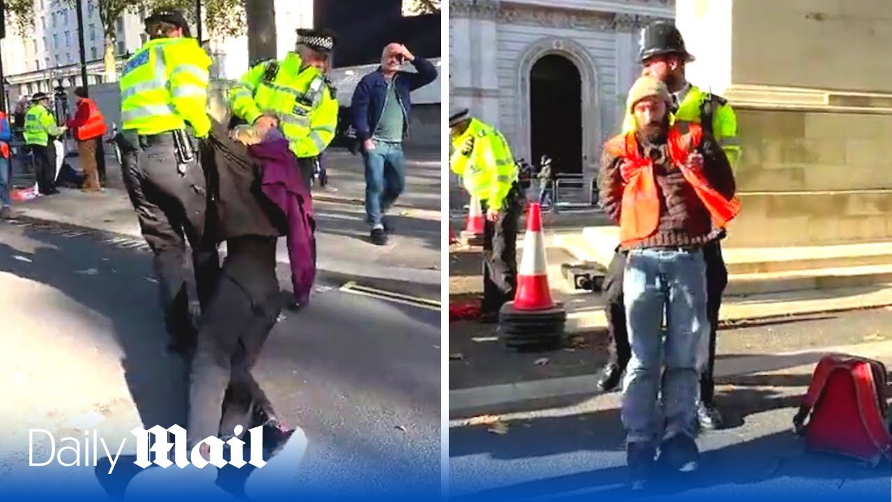 Just Stop Oil protesters at the Cenotaph as they are dragged away by police