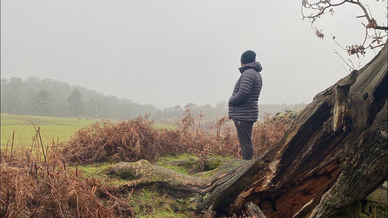 Sunday Walks In Bradgate Park | Looking for wildlife