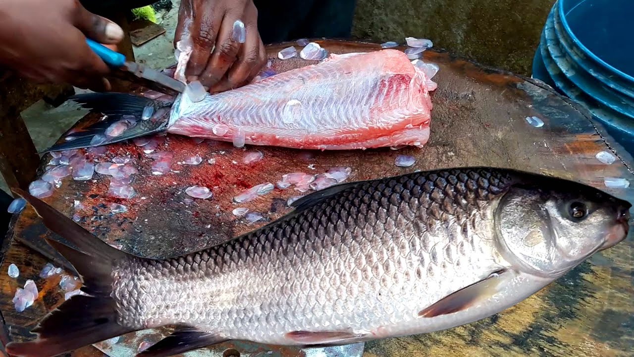Catla Catla Live Fish Cutting | Catla Fish Skinless Cutting | How To Cutting Fish Skinless