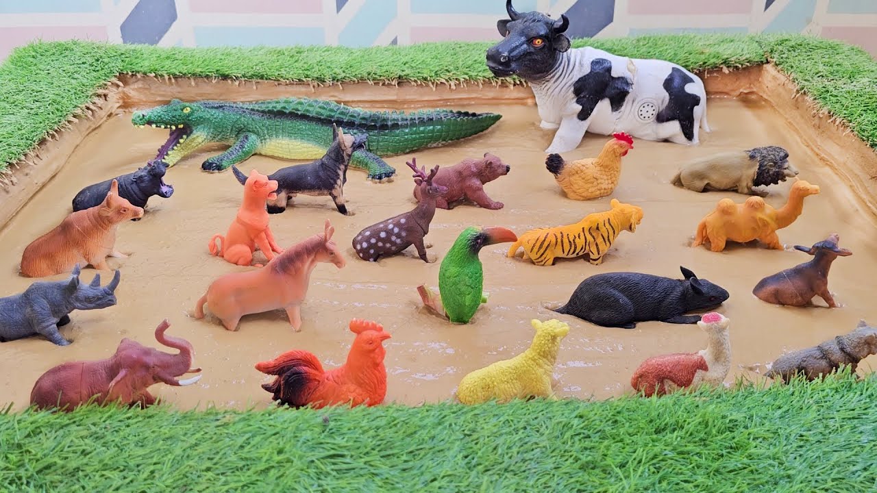 An Interactive Journey to Washing Farm and Jungle Animals' Fun Learning Activities