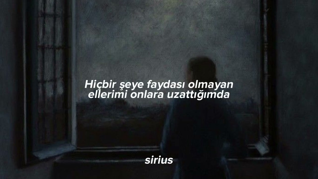 Halsey - Darwinism (Türkçe çeviri)