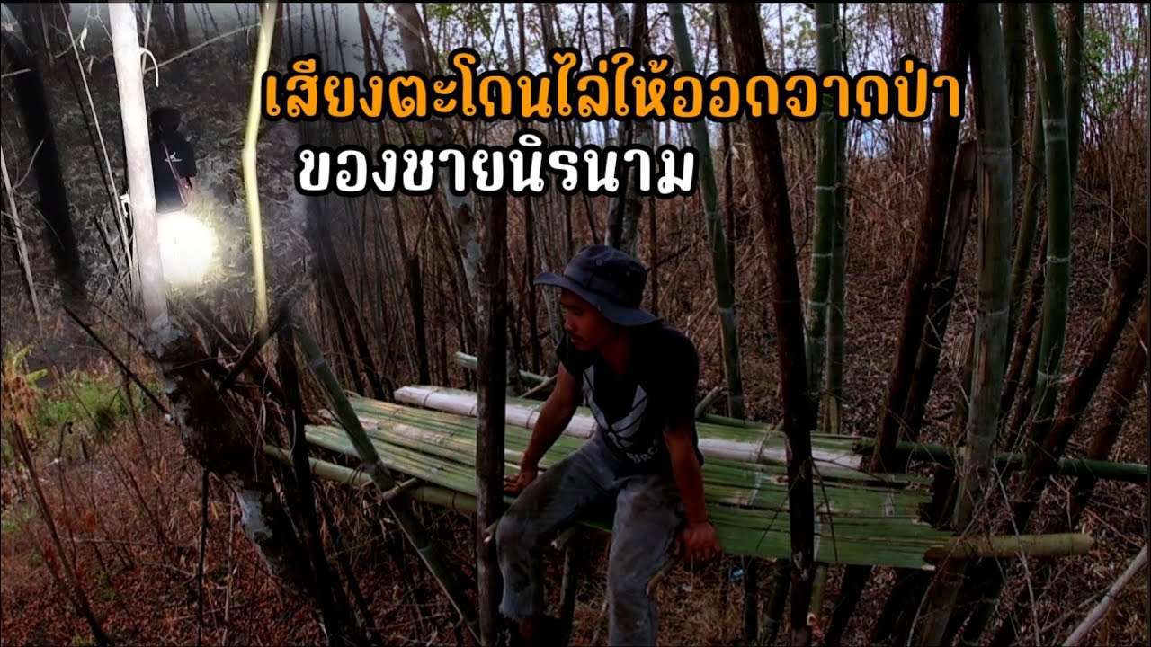 สร้างห้างบนไผ่ มีเสียงไล่ให้ออกไปจากป่า ของชายนิรนาม