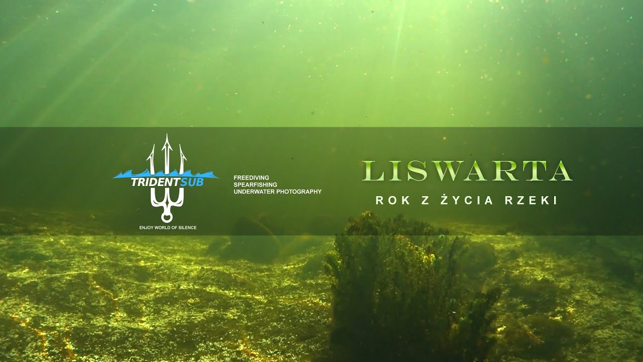 Liswarta  - rok z życia rzeki