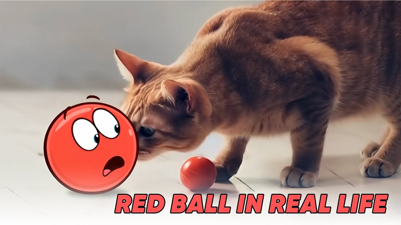Red Ball 4 Animation In Real Life Which is More EPIC?
