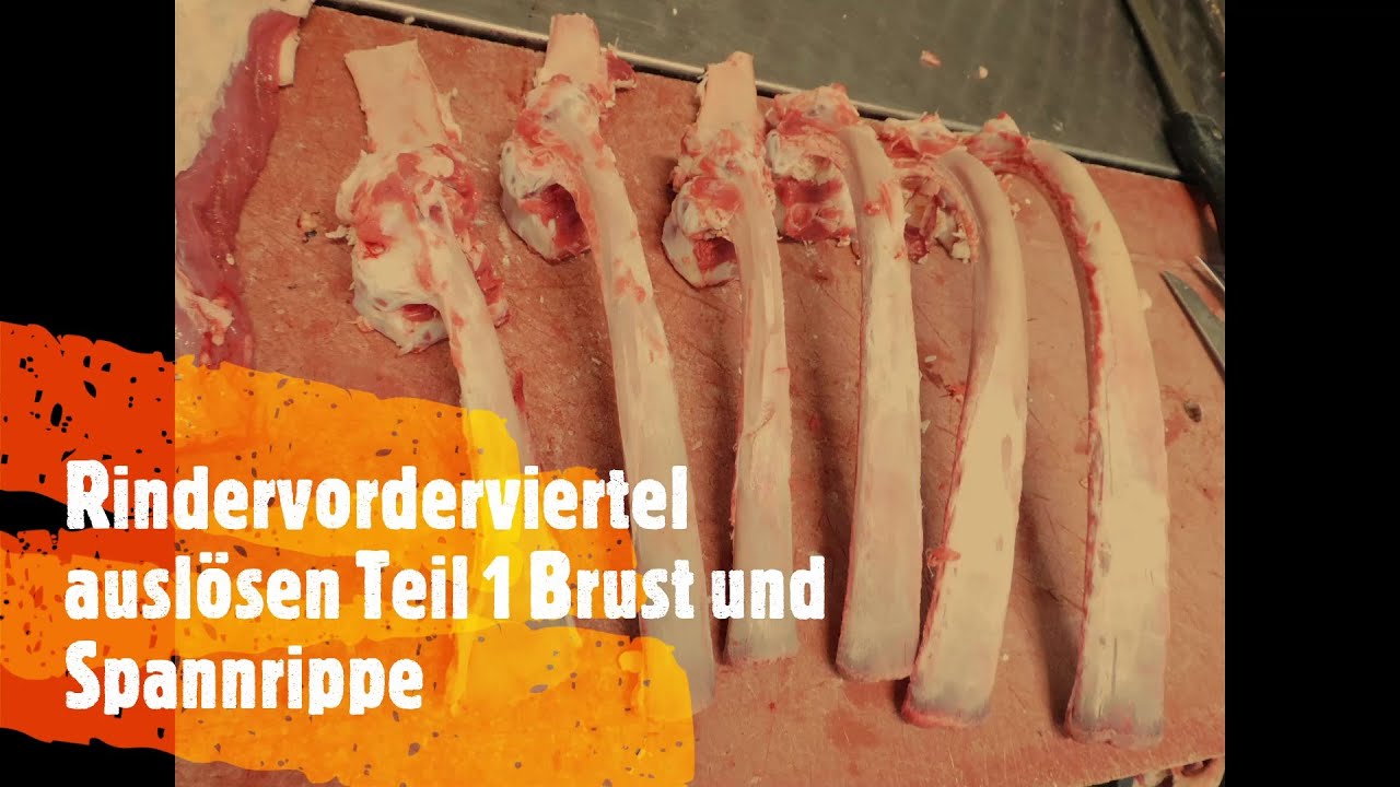 Vorderviertel auslösen - Teil 1! So wird`s gemacht - Profimetzger Ralf